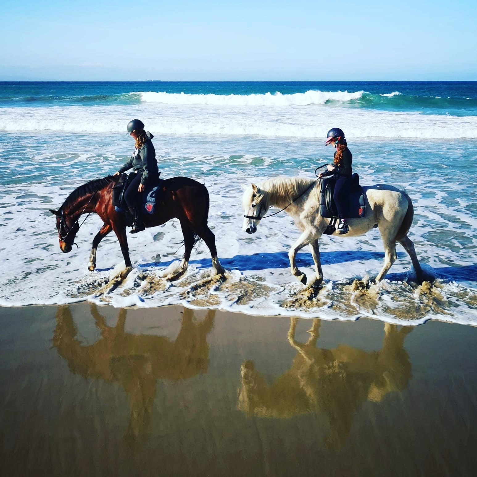 Jinetes y caballos paseando por la orilla de la playa