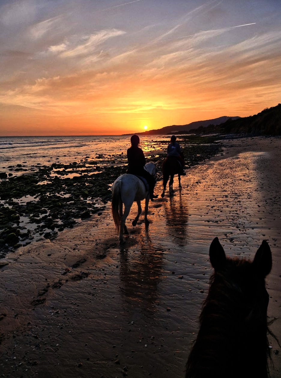 Caballos paseando por la playa durante el atardecer