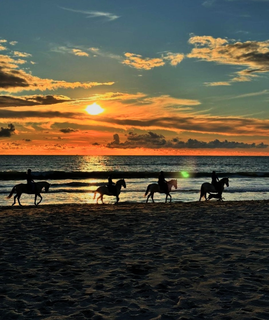 Jinete y caballo paseando por la playa durante el atardecer