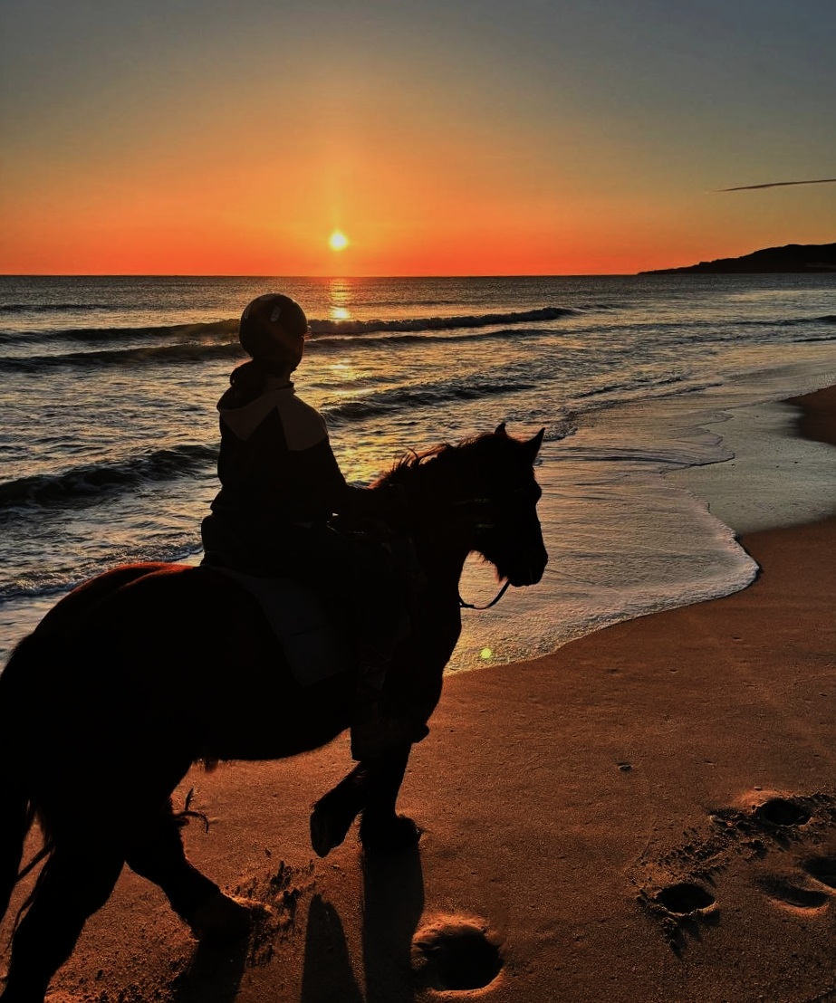 Jinete y caballo al atardecer